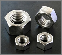 Stainless Steel 310L Hex Nuts